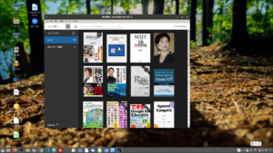 Ubuntu20.04でKindleコンテンツを読む