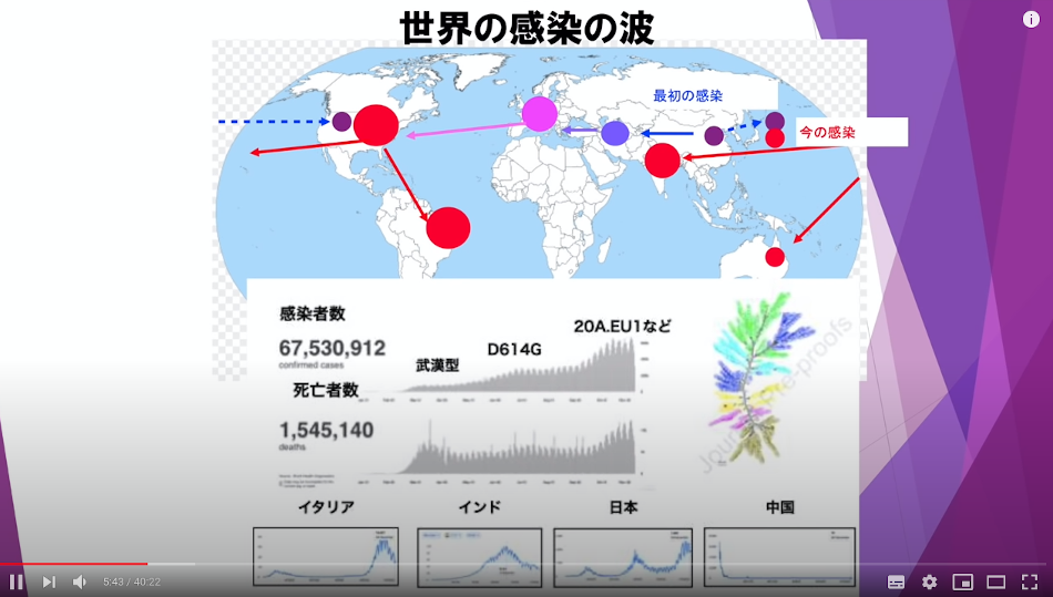 新型コロナの変異過程