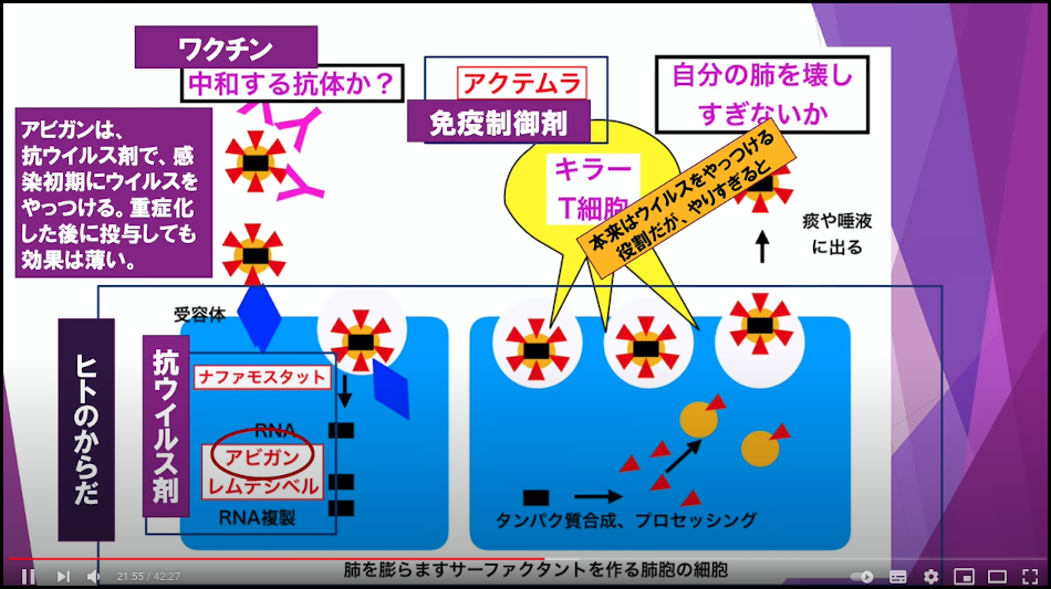 抗ウイルス剤